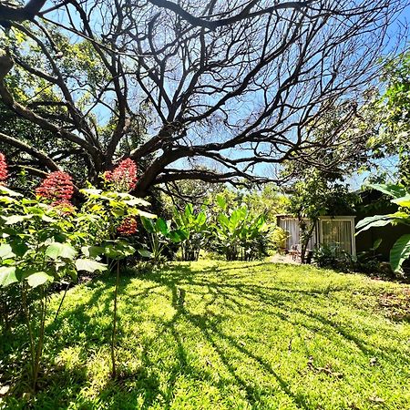 Larisa Resort Ashwem マンドレム エクステリア 写真